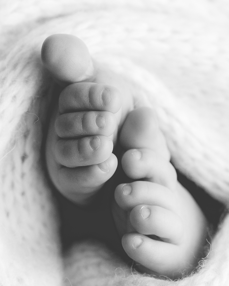 close up of little newborn toes