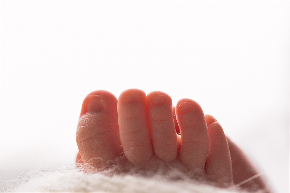 backlit photo of newborn toes