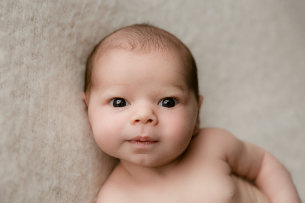 wide awak newborn baby gazing into the camera
